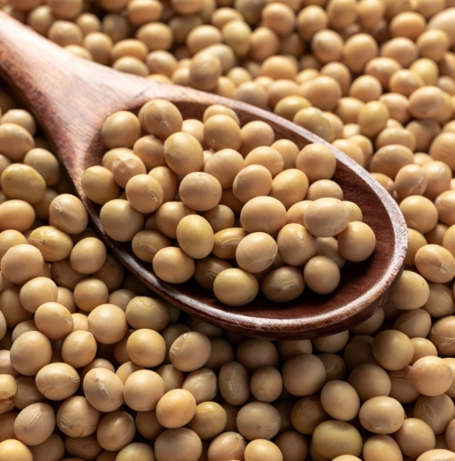 TREADAVES AGRO NIG LTD Products